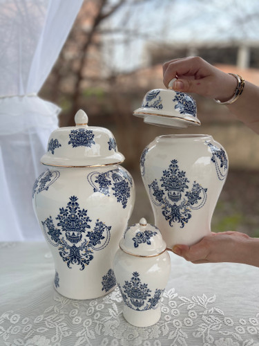 جینجر طرح آبی